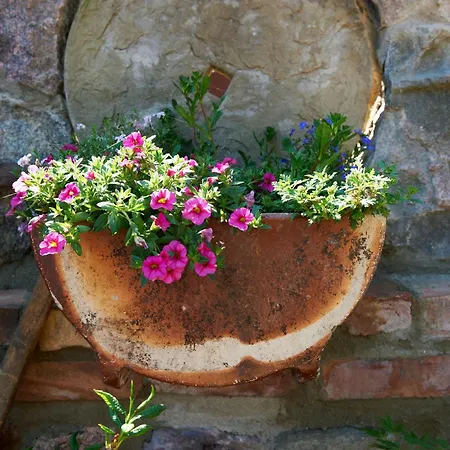 Mini-hôtel Bauernstube Morgenitz *